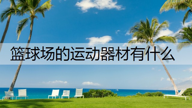 篮球场的运动器材有什么