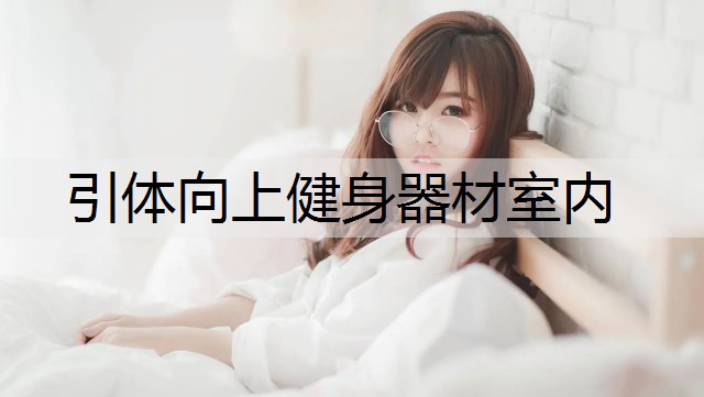 引体向上健身器材室内
