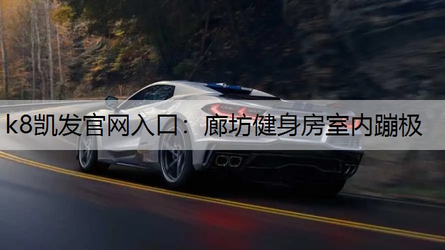k8凯发官网入口：廊坊健身房室内蹦极