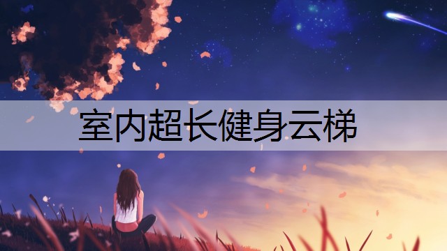 室内超长健身云梯