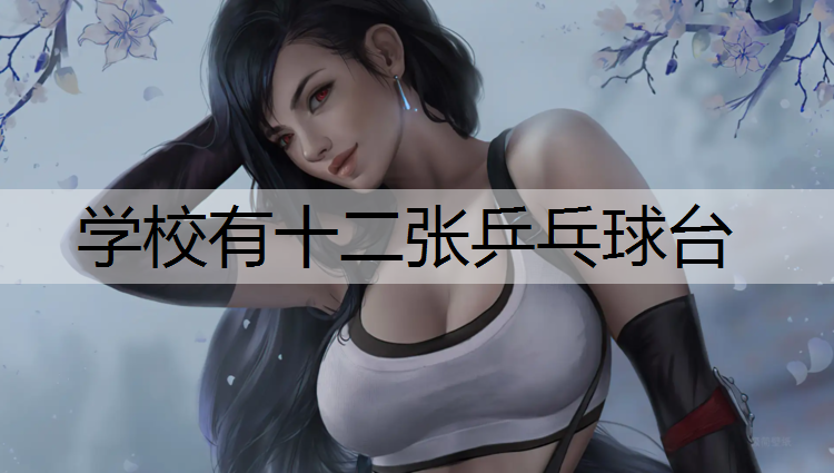 学校有十二张乒乓球台