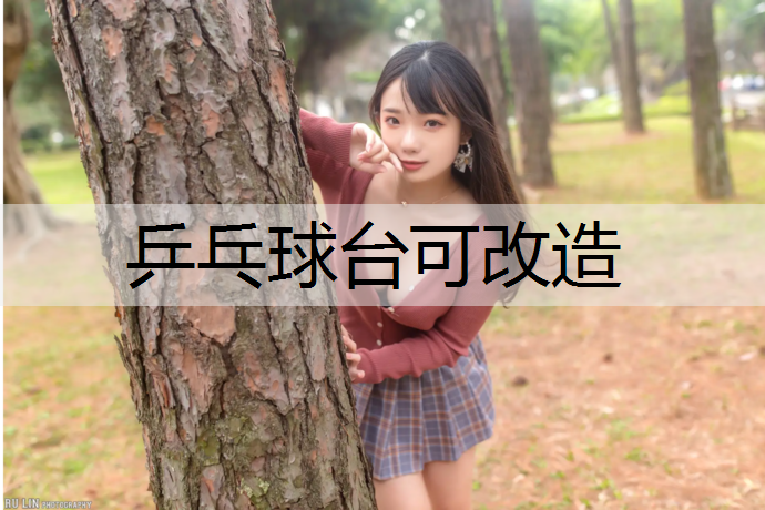 乒乓球台可改造
