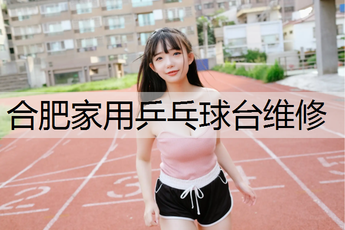 合肥家用乒乓球台维修