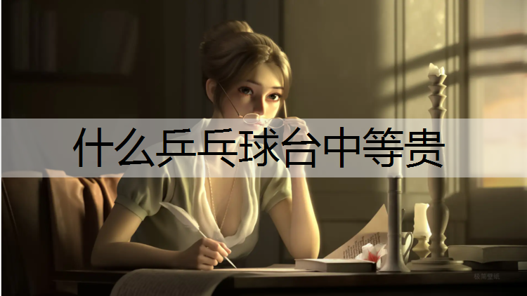 什么乒乓球台中等贵