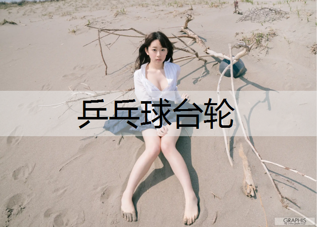 乒乓球台轮