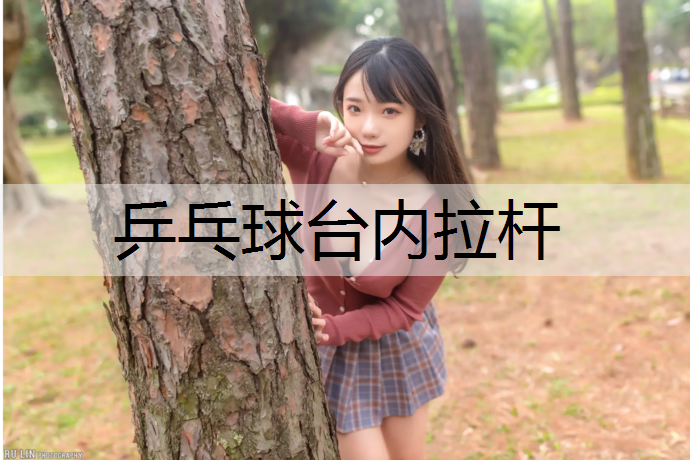 乒乓球台内拉杆
