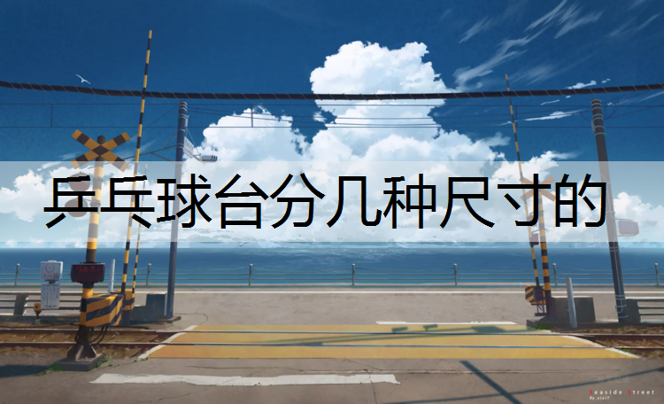 乒乓球台分几种尺寸的