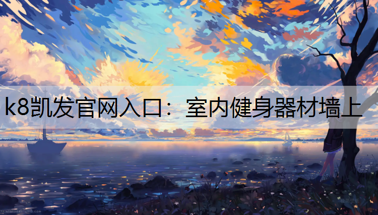 k8凯发官网入口：室内健身器材墙上
