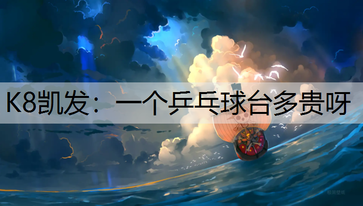 K8凯发：一个乒乓球台多贵呀