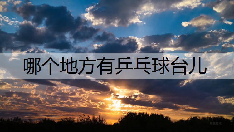 哪个地方有乒乓球台儿