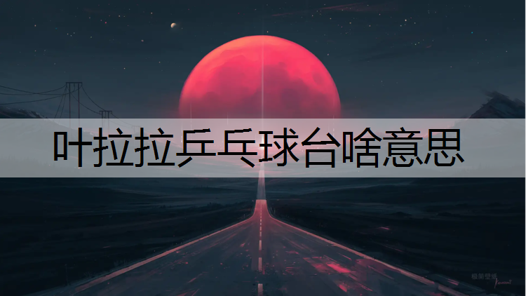 叶拉拉乒乓球台啥意思