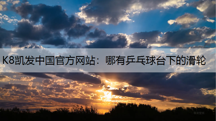 K8凯发中国官方网站：哪有乒乓球台下的滑轮