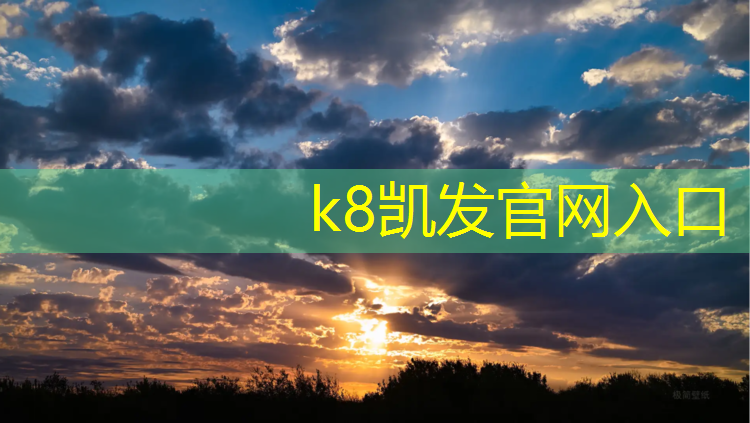 K8凯发国际官方网站：四轮回弹健腹轮