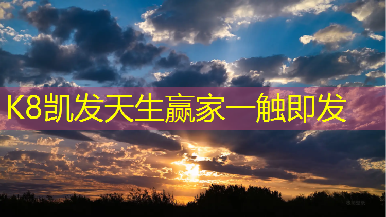K8凯发：体操垫体能训练计划书