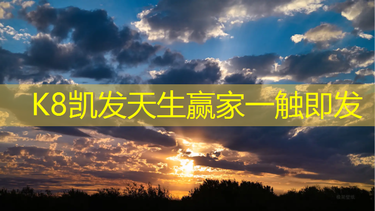 K8凯发中国官方网站：松源塑胶跑道原料