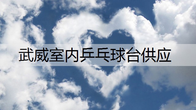 武威室内乒乓球台供应 武威室内乒乓球台供应