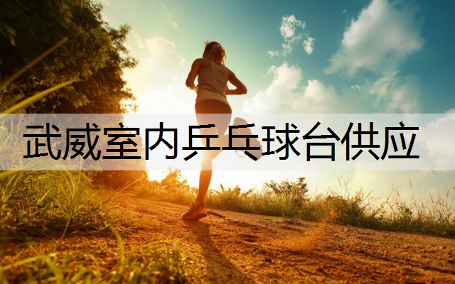 武威室内乒乓球台供应 武威室内乒乓球台供应