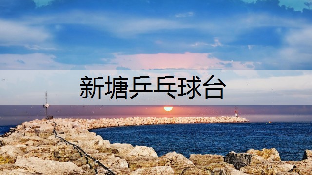 新塘乒乓球台