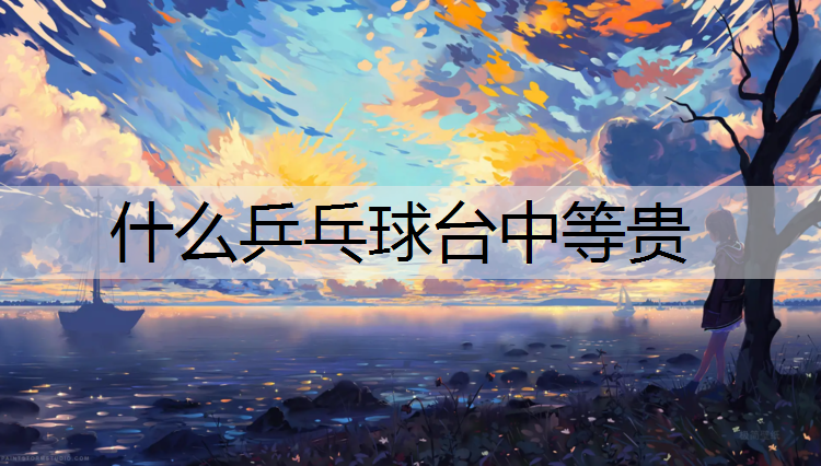 什么乒乓球台中等贵