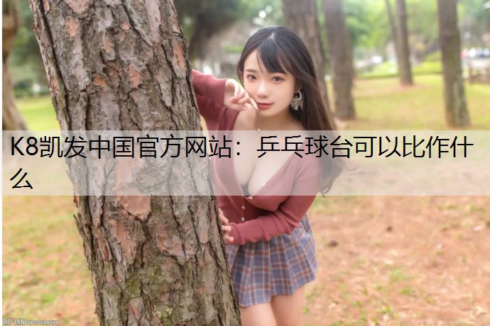 乒乓球台可以比作什么
