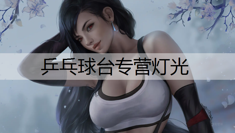 乒乓球台专营灯光