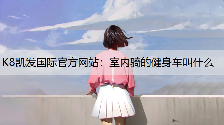 室内骑的健身车叫什么