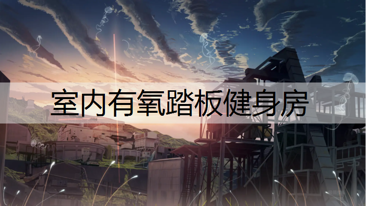 室内有氧踏板健身房