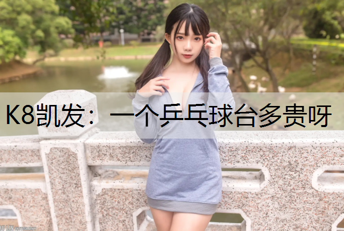 一个乒乓球台多贵呀