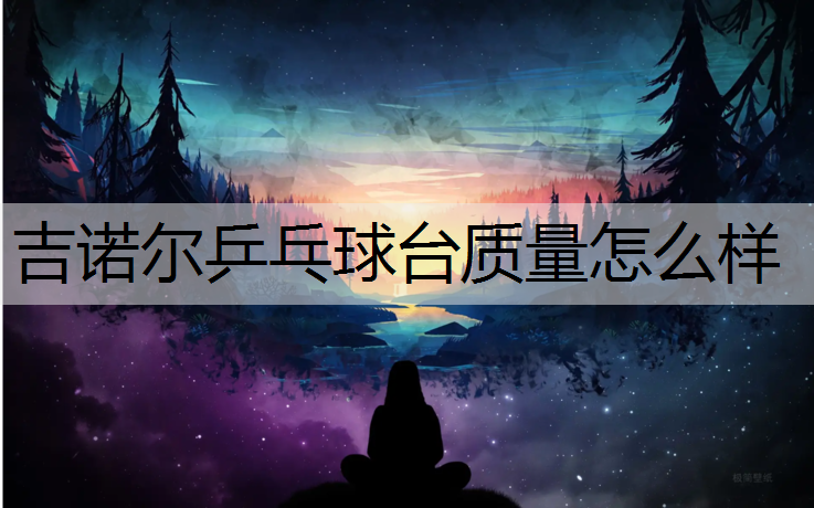 吉诺尔乒乓球台质量怎么样