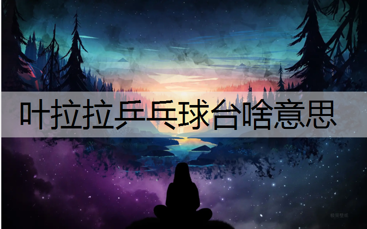 叶拉拉乒乓球台啥意思