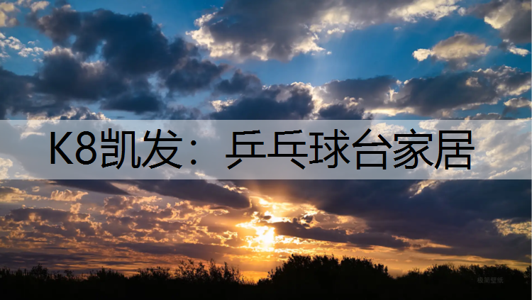 乒乓球台家居