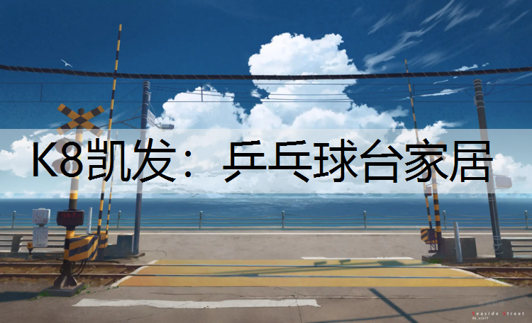乒乓球台家居