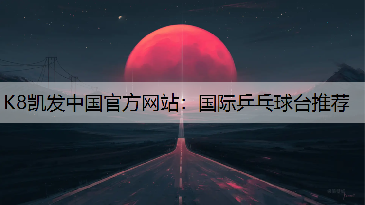国际乒乓球台推荐