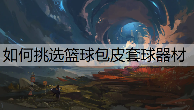如何挑选篮球包皮套球器材